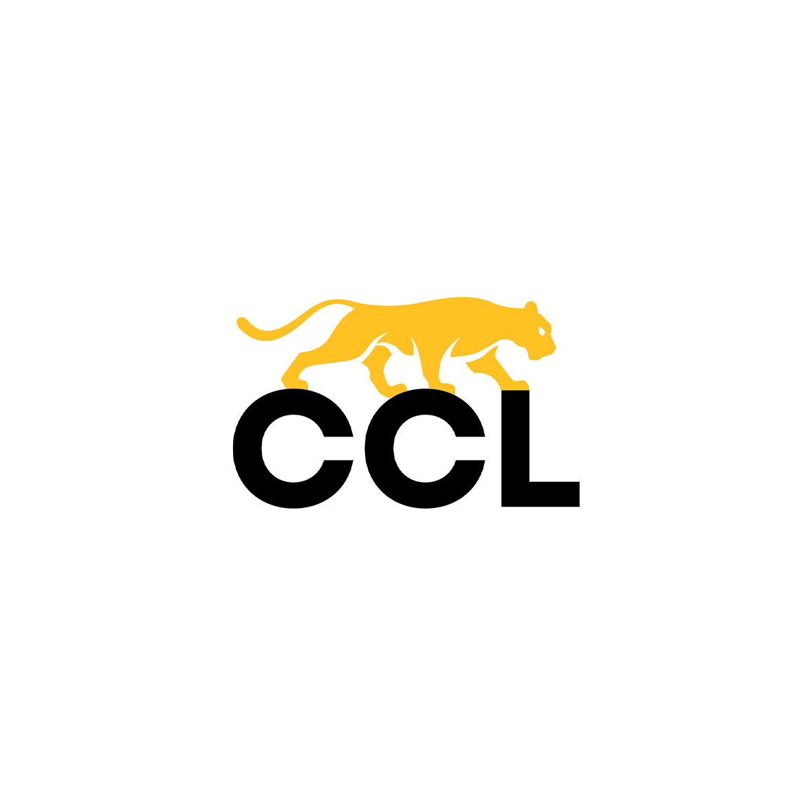 CCL TOULOUSE